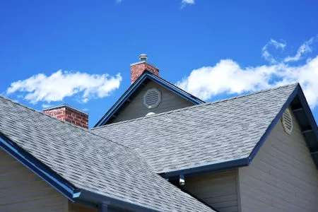 Roof Sealing